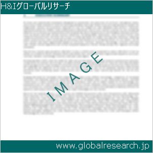 グローバルリサーチ調査レポートのイメージ